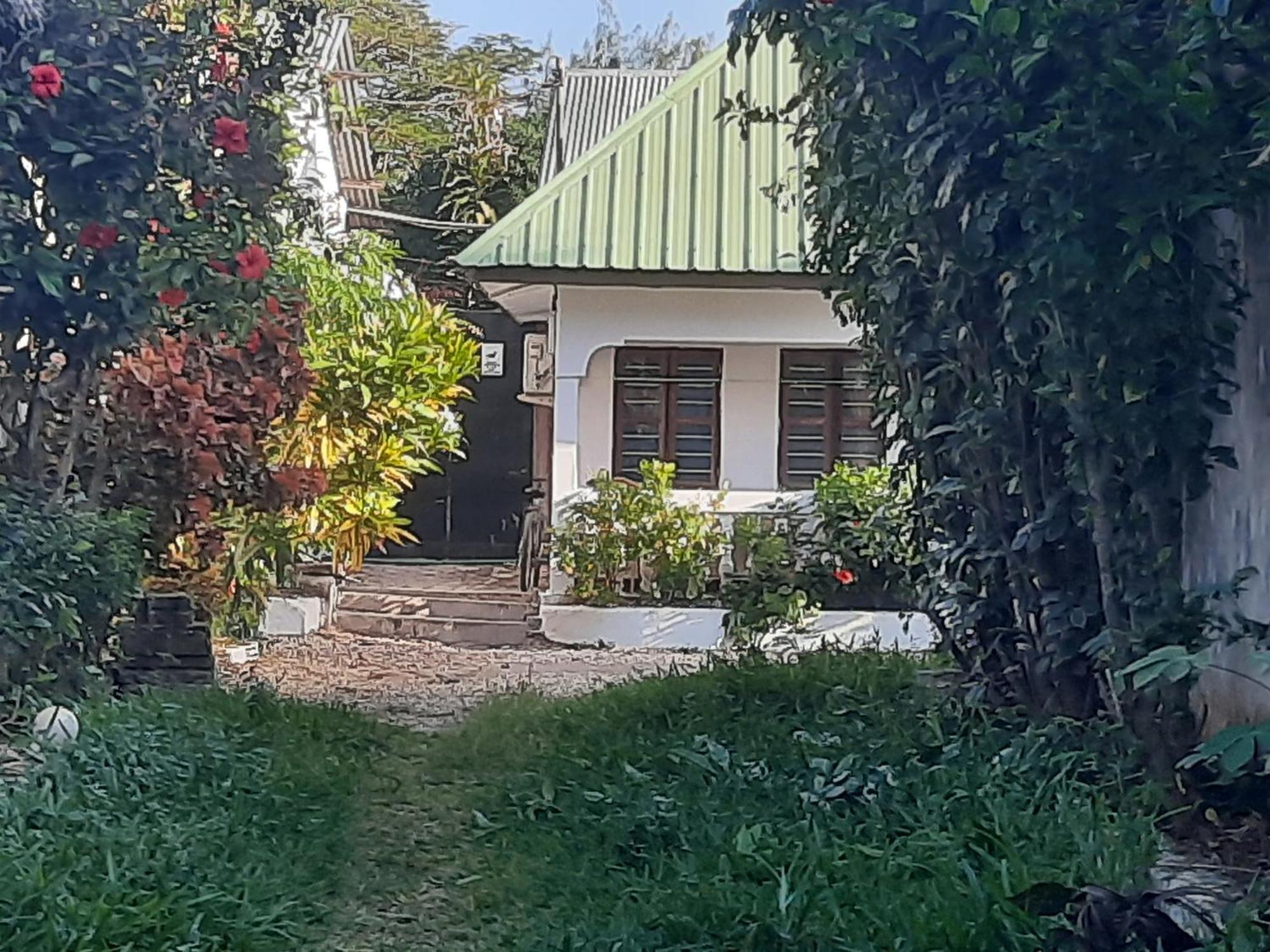 Bed and Breakfast Ames Nungwi Exterior foto