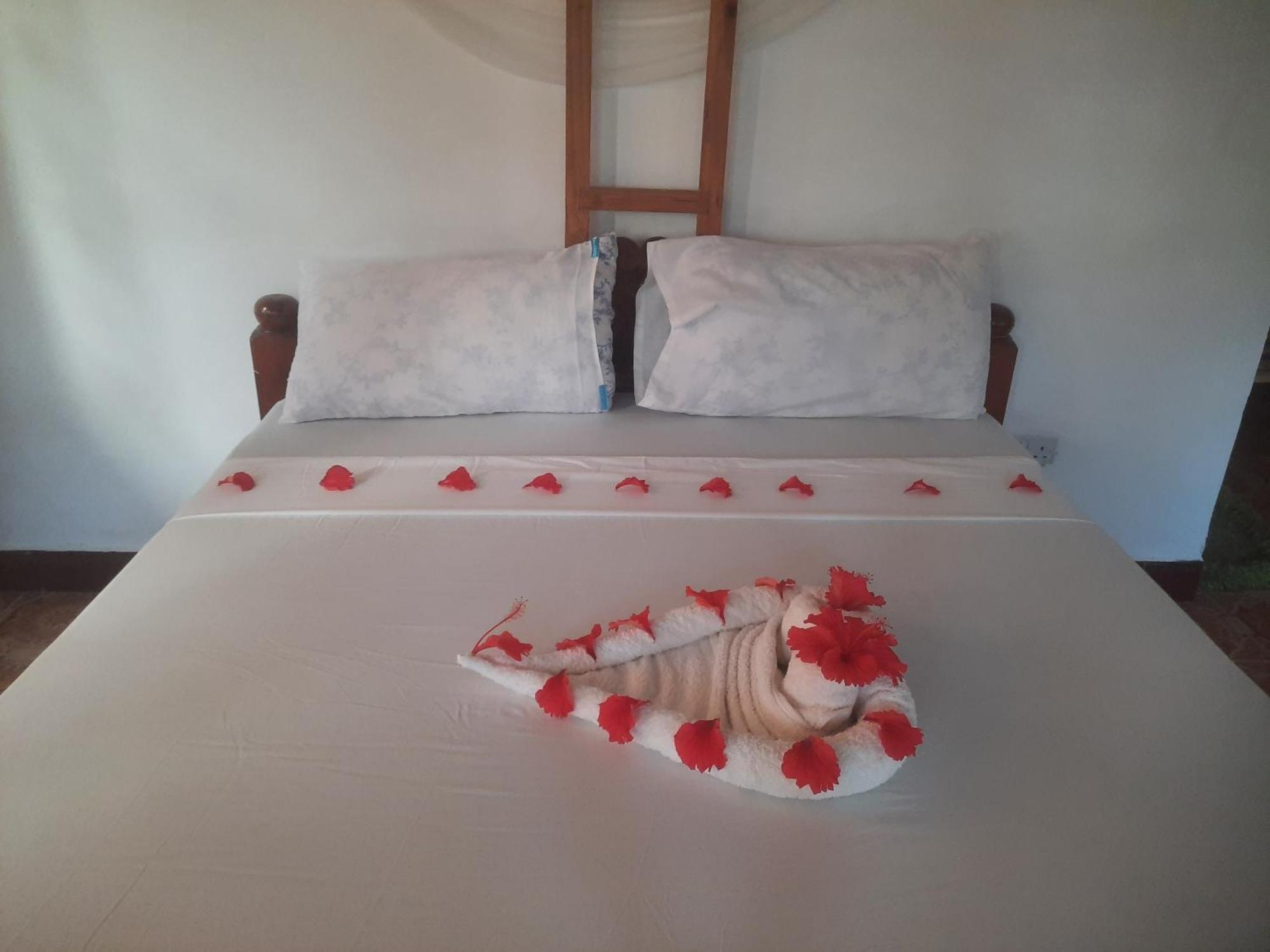 Bed and Breakfast Ames Nungwi Exterior foto